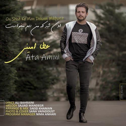 دانلود آهنگ اون شد که من دلم میخواست